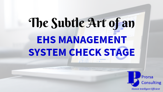 The Subtle Art of an EHS Management System Check Stage