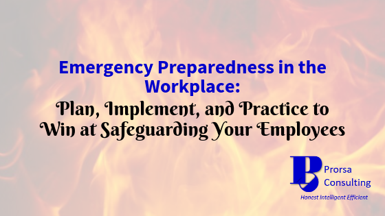 Emergency Preparedness in the Workplace: Plan, Implement, and Practice to Win at Safeguarding Your Employees