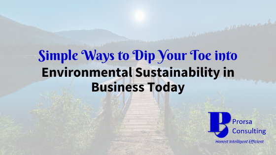 Simple Ways to Dip Your Toe into Environmental Sustainability in Business Today