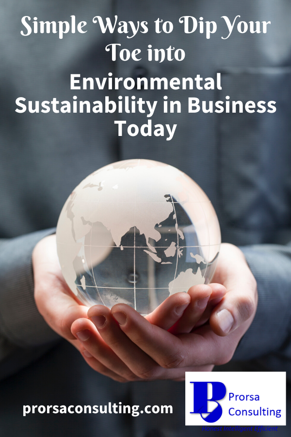 environmental-sustainability-in-business-hands-holding-globe-of-earth