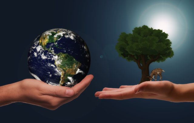 hand-holding-the-earth-next-to-hand-holding-a-tree