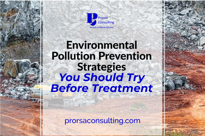 Environmental Pollution Prevention Strategies You Should Try Before Treatment