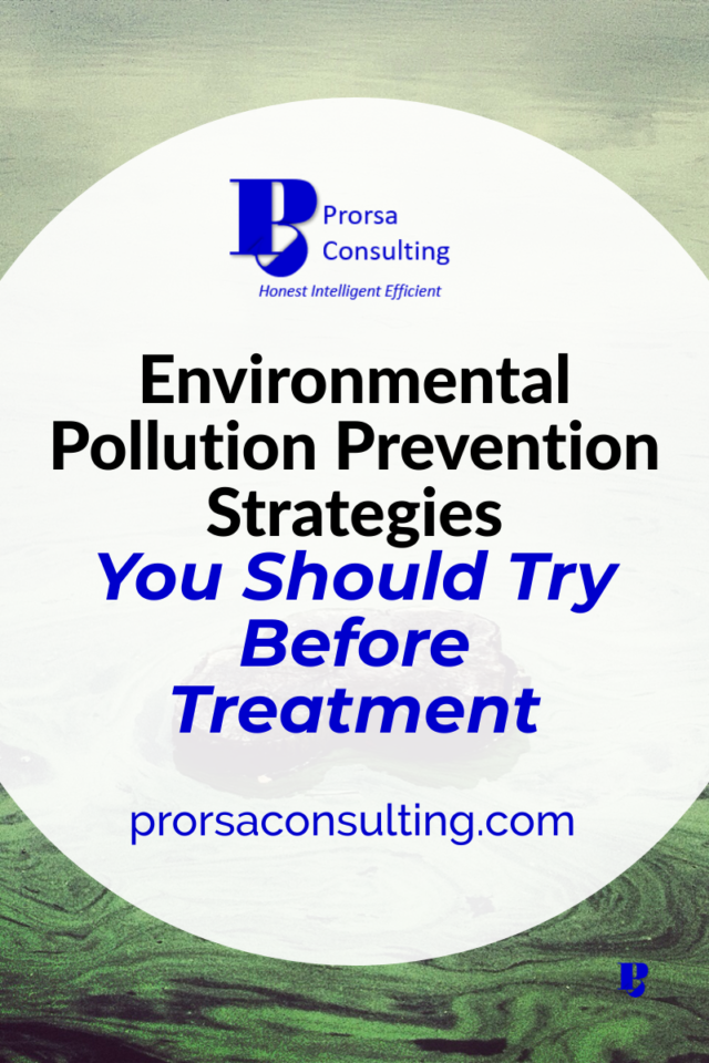 environmental-pollution-prevention-strategies-pinterest-pin-showing-a-rock-surrounded-by-polluted-water