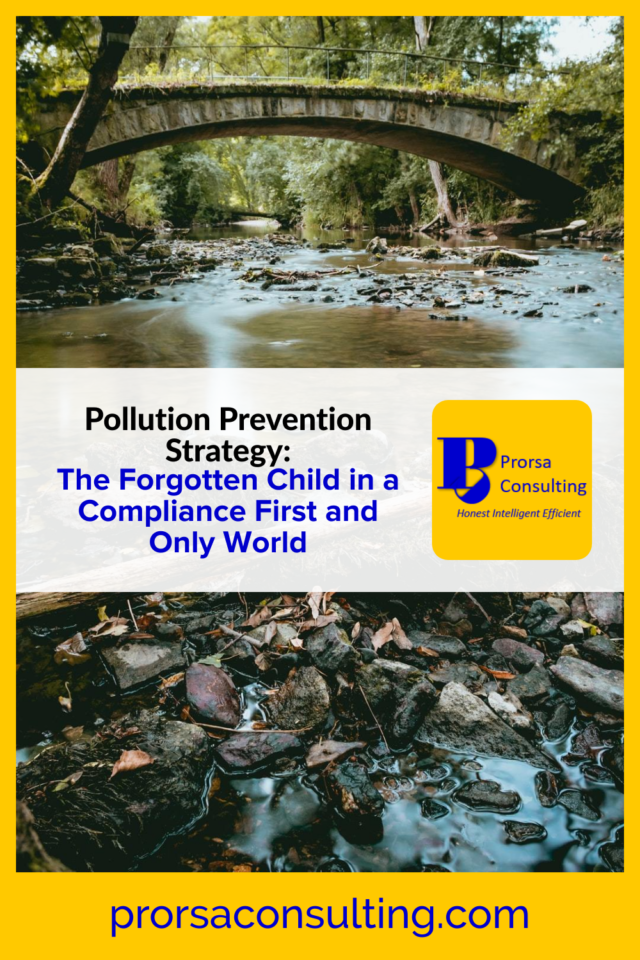 Pollution prevention strategy Pinterest pin depicting trash in a river.