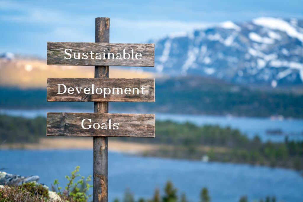 wooden-sign-reading-sustainable-development-goals