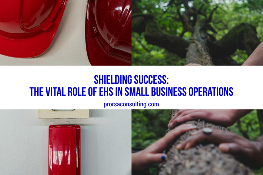 Shielding Success: The Vital Role of EHS in Small Business Operations