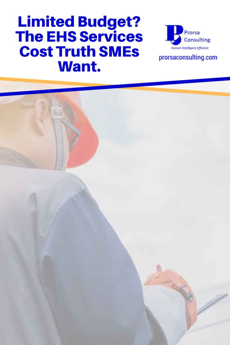 Limited Budget? The EHS Services Cost Truth SMEs Want. - Prorsa Consulting
