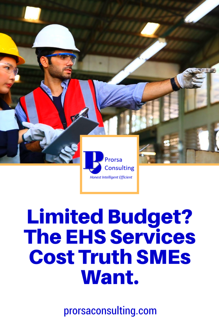 Limited Budget? The EHS Services Cost Truth SMEs Want. - Prorsa Consulting